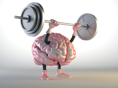 Gewohnheiten trainieren das Gehirn