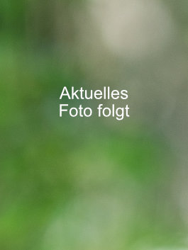 Grüner, verschwommener Hintergrund mit Text: aktuelles Foto folgt