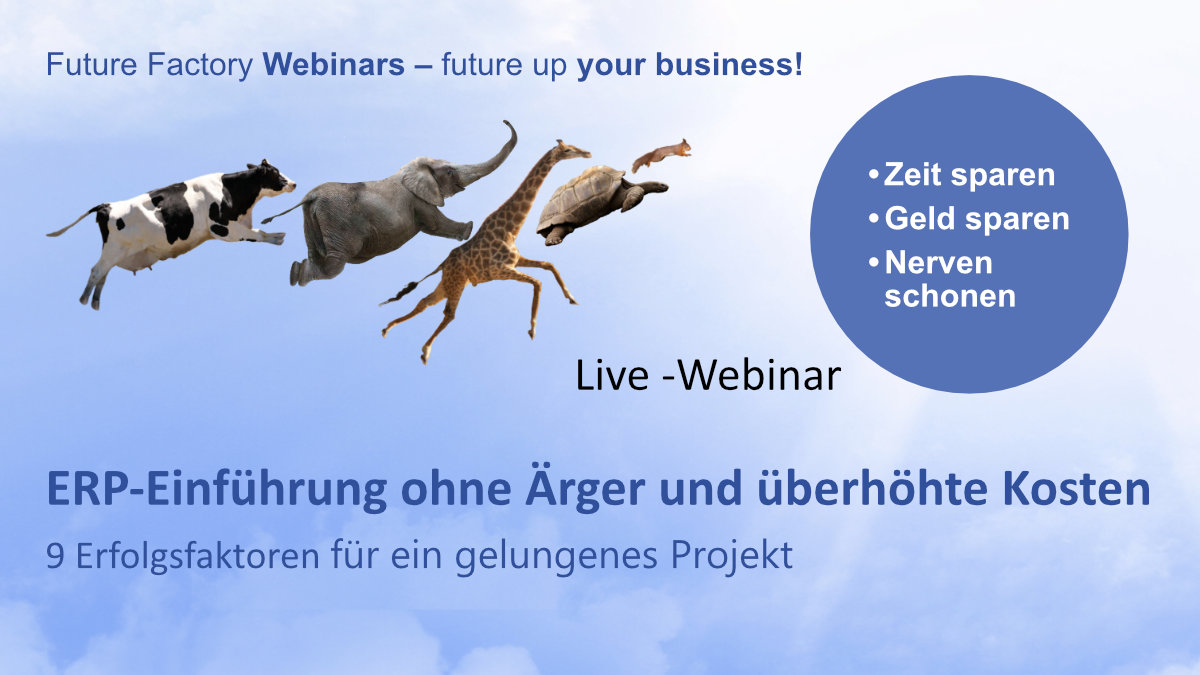Webinar Banner zum Thema "ERP-Einführung ohne Ärger und überhöhte Kosten".