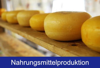 Das Foto zeigt eine Reihe von Käselaiben, die auf einem Holzbrett reifen.